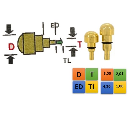 REDONDO DOURADO 3,00 (D); 2,01 (T); 4,30 (ED); 1,00 (TL)