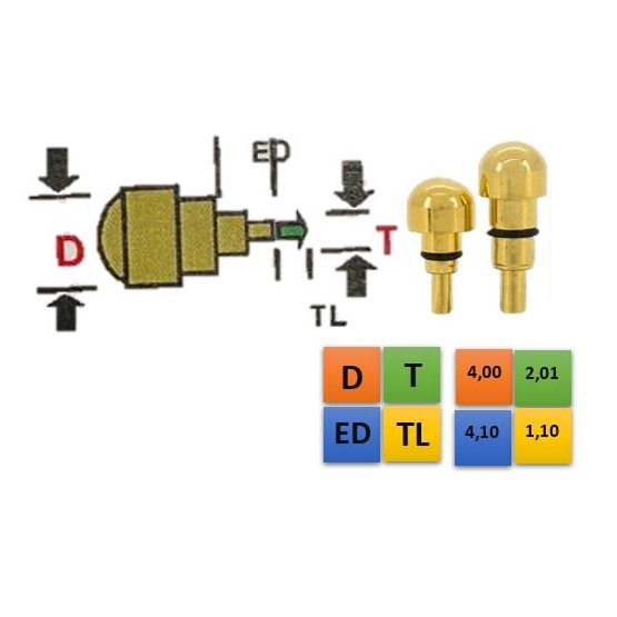 REDONDO DOURADO 4,00 (D); 2,01 (T); 4,10 (ED); 1,10 (TL)