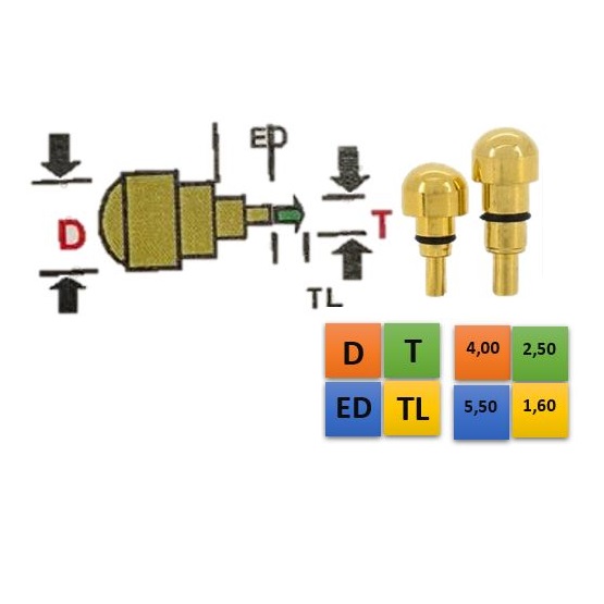 REDONDO DOURADO 4,00 (D); 2,50 (T); 5,50 (ED); 1,60 (TL)