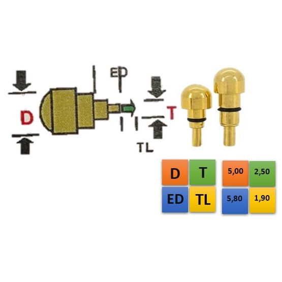 REDONDO DOURADO 5,00 (D); 2,50 (T); 5,80 (ED); 1,90 (TL)