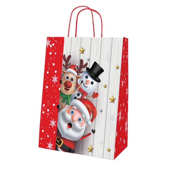 SACO DE NATAL - CT8384-I