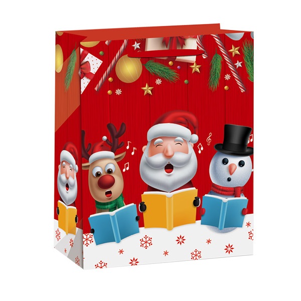 SACO DE NATAL - CT8385-A